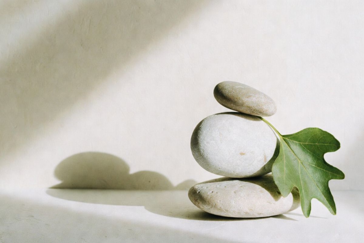 bergamot-cholesterol-srdecni-zdravi